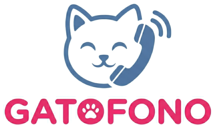 My Blog
